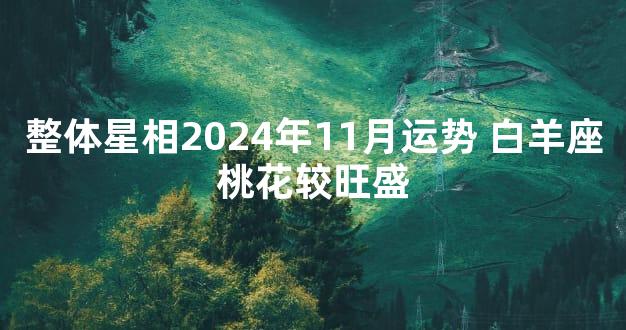 整体星相2024年11月运势 白羊座桃花较旺盛